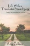 Life With a Traumatic Brain Injury Finding the Road Back to Normal